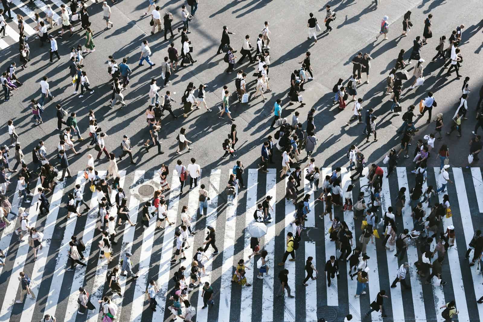 aerial view of people walking on road